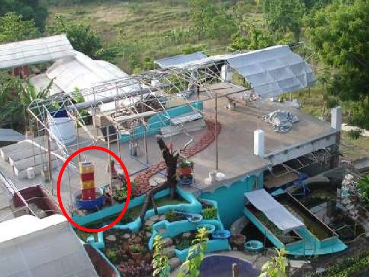 A3 Aquaponics - filter,feed and fish