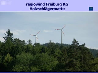regiowind Freiburg KG Holzschlägermatte 