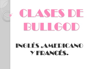 CLASES DE
BULLGOD
INGLÉS ,AMERICANO
    Y FRANCÉS.
 