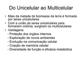 Do Unicelular ao Multicelular
• Mais da metade da biomassa da terra é formada
por seres unicelulares
• Com a união de seres unicelulares para
formarem colônia, surgiram os multicelulares
• Vantagens:
- Proteção dos órgãos internos
- Exploração de novos ambientes
- Evolução na comunicação celular
- Criação de memória celular
- Diversidade de função e eficácia metabólica

 