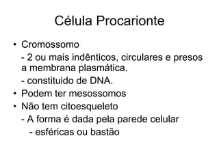 Célula Procarionte
• Cromossomo
- 2 ou mais indênticos, circulares e presos
a membrana plasmática.
- constituido de DNA.
• Podem ter mesossomos
• Não tem citoesqueleto
- A forma é dada pela parede celular
- esféricas ou bastão

 
