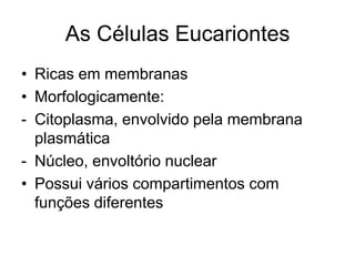 As Células Eucariontes
• Ricas em membranas
• Morfologicamente:
- Citoplasma, envolvido pela membrana
plasmática
- Núcleo, envoltório nuclear
• Possui vários compartimentos com
funções diferentes

 