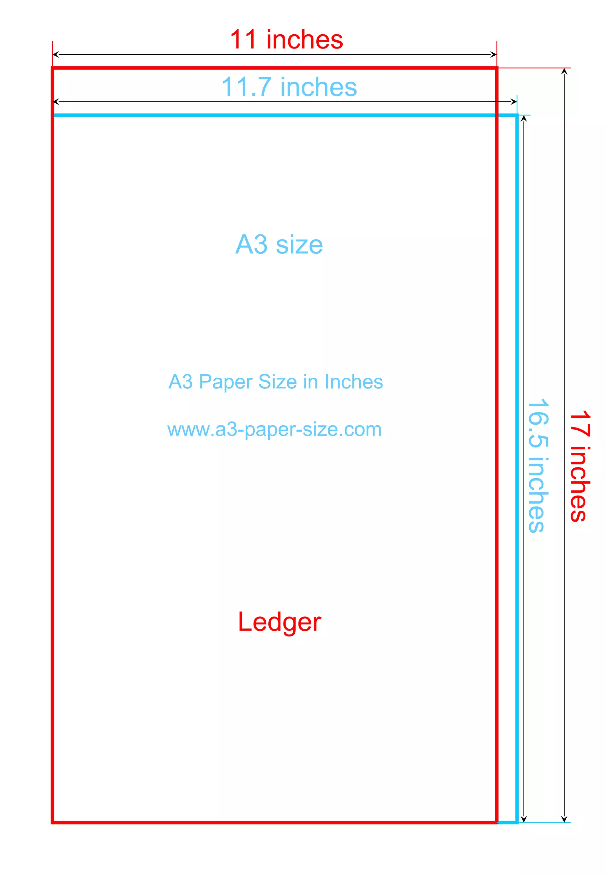A3 paper size pdf