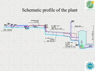 Schematic profile of the plant 