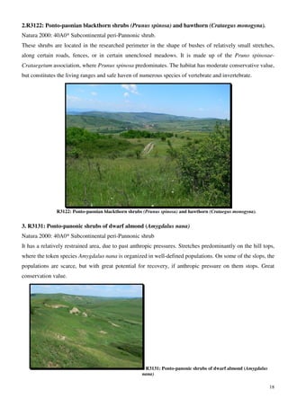 2.R3122: Ponto-paonian blackthorn shrubs (Prunus spinosa) and hawthorn (Crataegus monogyna).
Natura 2000: 40A0* Subcontinental peri-Pannonic shrub.
These shrubs are located in the researched perimeter in the shape of bushes of relatively small stretches,
along certain roads, fences, or in certain unenclosed meadows. It is made up of the Pruno spinosae-
Crataegetum association, where Prunus spinosa predominates. The habitat has moderate conservative value,
but constitutes the living ranges and safe haven of numerous species of vertebrate and invertebrate.




               R3122: Ponto-paonian blackthorn shrubs (Prunus spinosa) and hawthorn (Crataegus monogyna).


3. R3131: Ponto-panonic shrubs of dwarf almond (Amygdalus nana)
Natura 2000: 40A0* Subcontinental peri-Pannonic shrub
It has a relatively restrained area, due to past anthropic pressures. Stretches predominantly on the hill tops,
where the token species Amygdalus nana is organized in well-defined populations. On some of the slops, the
populations are scarce, but with great potential for recovery, if anthropic pressure on them stops. Great
conservation value.




                                                      R3131: Ponto-panonic shrubs of dwarf almond (Amygdalus
                                                     nana)

                                                                                                               18
 