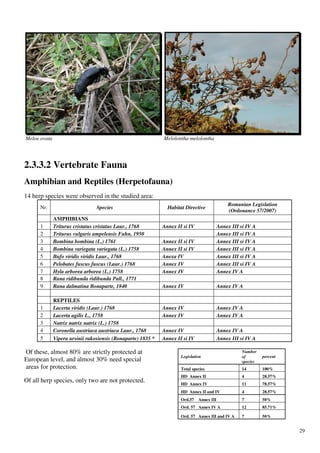 Meloe ovata                                                   Melolontha melolontha




2.3.3.2 Vertebrate Fauna
Amphibian and Reptiles (Herpetofauna)
14 herp species were observed in the studied area:
                                                                                               Romanian Legislation
      Nr.                        Species                        Habitat Directive
                                                                                               (Ordonance 57/2007)
              AMPHIBIANS
      1       Triturus cristatus cristatus Laur., 1768        Annex II si IV               Annex III si IV A
      2       Triturus vulgaris ampelensis Fuhn, 1950                                      Annex III si IV A
      3       Bombina bombina (L.) 1761                       Annex II si IV               Annex III si IV A
      4       Bombina variegata variegata (L.) 1758           Annex II si IV               Annex III si IV A
      5       Bufo viridis viridis Laur., 1768                Anexa IV                     Annex III si IV A
      6       Pelobates fuscus fuscus (Laur.) 1768            Annex IV                     Annex III si IV A
      7       Hyla arborea arborea (L.) 1758                  Annex IV                     Annex IV A
      8       Rana ridibunda ridibunda Pall., 1771
      9       Rana dalmatina Bonaparte, 1840                  Annex IV                     Annex IV A

              REPTILES
      1       Lacerta viridis (Laur.) 1768                    Annex IV                     Annex IV A
      2       Lacerta agilis L., 1758                         Annex IV                     Annex IV A
      3       Natrix natrix natrix (L.) 1758
      4       Coronella austriaca austriaca Laur., 1768       Annex IV                     Annex IV A
      5       Vipera ursinii rakosiensis (Bonaparte) 1835 *   Annex II si IV               Annex III si IV A

Of these, almost 80% are strictly protected at                                                        Number
                                                                      Legislation                     of        percent
European level, and almost 30% need special                                                           species
areas for protection.                                                 Total species                   14        100%
                                                                      HD Annex II                     4         28.57%
Of all herp species, only two are not protected.                      HD Annex IV                     11        78.57%
                                                                      HD Annex II and IV              4         28.57%
                                                                      Ord.57   Annex III              7         50%
                                                                      Ord. 57 Annex IV A              12        85.71%

                                                                      Ord. 57 Annex III and IV A      7         50%


                                                                                                                          29
 