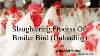 )
Group no. 03
Slaughtering Process Of
Broiler Bird (Unloading)
Sachith Sri Mihiraj
BSc (Special), M.Agri
 