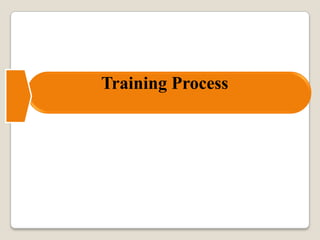 Training Process
 