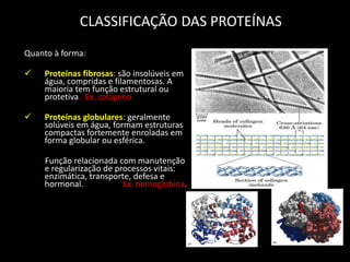 CLASSIFICAÇÃO DAS PROTEÍNAS
Quanto à forma:


Proteínas fibrosas: são insolúveis em
água, compridas e filamentosas. A
maioria tem função estrutural ou
protetiva. Ex. colágeno



Proteínas globulares: geralmente
solúveis em água, formam estruturas
compactas fortemente enroladas em
forma globular ou esférica.
Função relacionada com manutenção
e regularização de processos vitais:
enzimática, transporte, defesa e
hormonal.
Ex. hemoglobina.

 