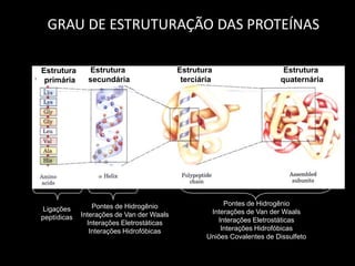 GRAU DE ESTRUTURAÇÃO DAS PROTEÍNAS
Estrutura
primária

Ligações
peptídicas

Estrutura
secundária

Pontes de Hidrogênio
Interações de Van der Waals
Interações Eletrostáticas
Interações Hidrofóbicas

Estrutura
terciária

Estrutura
quaternária

Pontes de Hidrogênio
Interações de Van der Waals
Interações Eletrostáticas
Interações Hidrofóbicas
Uniões Covalentes de Dissulfeto

 