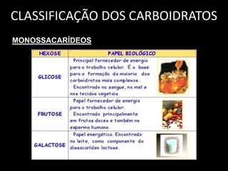 CLASSIFICAÇÃO DOS CARBOIDRATOS
MONOSSACARÍDEOS

 