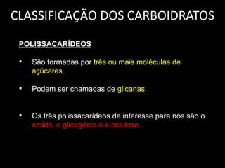 CLASSIFICAÇÃO DOS CARBOIDRATOS
POLISSACARÍDEOS

•

São formadas por três ou mais moléculas de
açúcares.

•

Podem ser chamadas de glicanas.

•

Os três polissacarídeos de interesse para nós são o
amido, o glicogênio e a celulose.

 