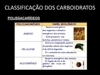 CLASSIFICAÇÃO DOS CARBOIDRATOS
POLISSACARÍDEOS

 