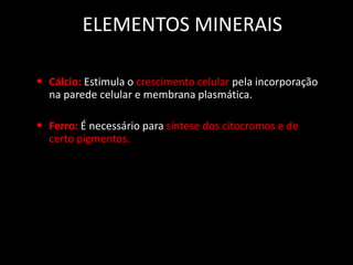 ELEMENTOS MINERAIS
• Cálcio: Estimula o crescimento celular pela incorporação
na parede celular e membrana plasmática.

• Ferro: É necessário para síntese dos citocromos e de
certo pigmentos.

 