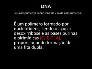DNA
Seu comprimento linear seria de 2 m de comprimento.

É um polímero formado por
nucleotídeos, sendo o açúcar
desoxirribose e as bases purinas
e pirimídicas (C, T, G, A),
proporcionando formação de
uma fita dupla.

 