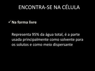 ENCONTRA-SE NA CÉLULA
Na forma livre
Representa 95% da água total, é a parte
usada principalmente como solvente para
os solutos e como meio dispersante

 