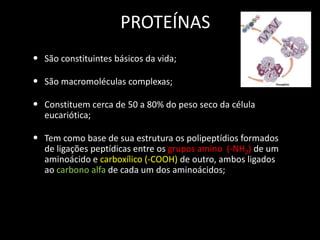 PROTEÍNAS
• São constituintes básicos da vida;
• São macromoléculas complexas;
• Constituem cerca de 50 a 80% do peso seco da célula
eucariótica;

• Tem como base de sua estrutura os polipeptídios formados
de ligações peptídicas entre os grupos amino (-NH2) de um
aminoácido e carboxílico (-COOH) de outro, ambos ligados
ao carbono alfa de cada um dos aminoácidos;

 