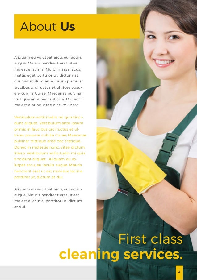 Cleaning Service Company Brochure