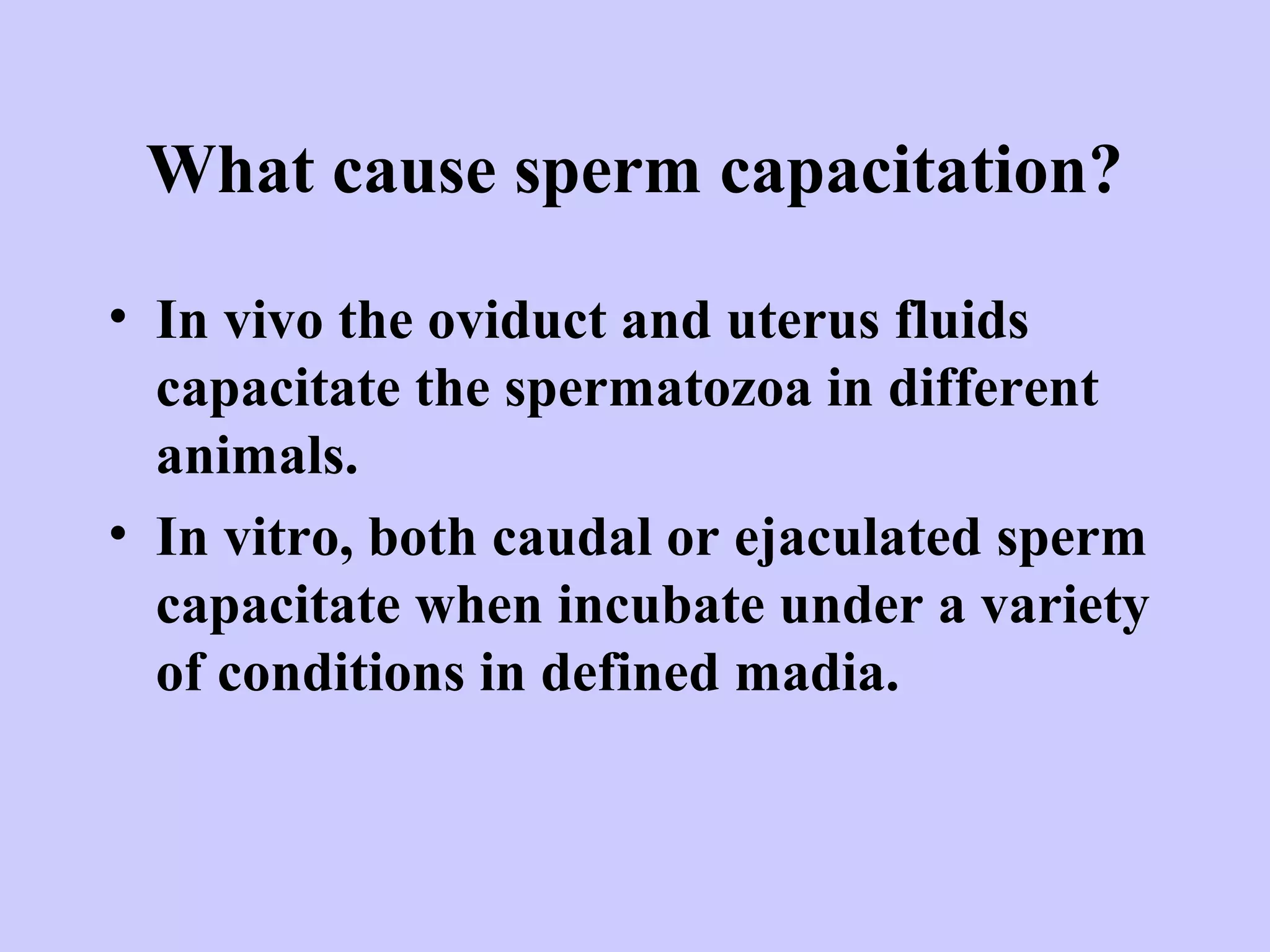 What cause sperm capacitation?
• In vivo the oviduct and uterus fluids
capacitate the spermatozoa in different
animals.
• In vitro, both caudal or ejaculated sperm
capacitate when incubate under a variety
of conditions in defined madia.
 