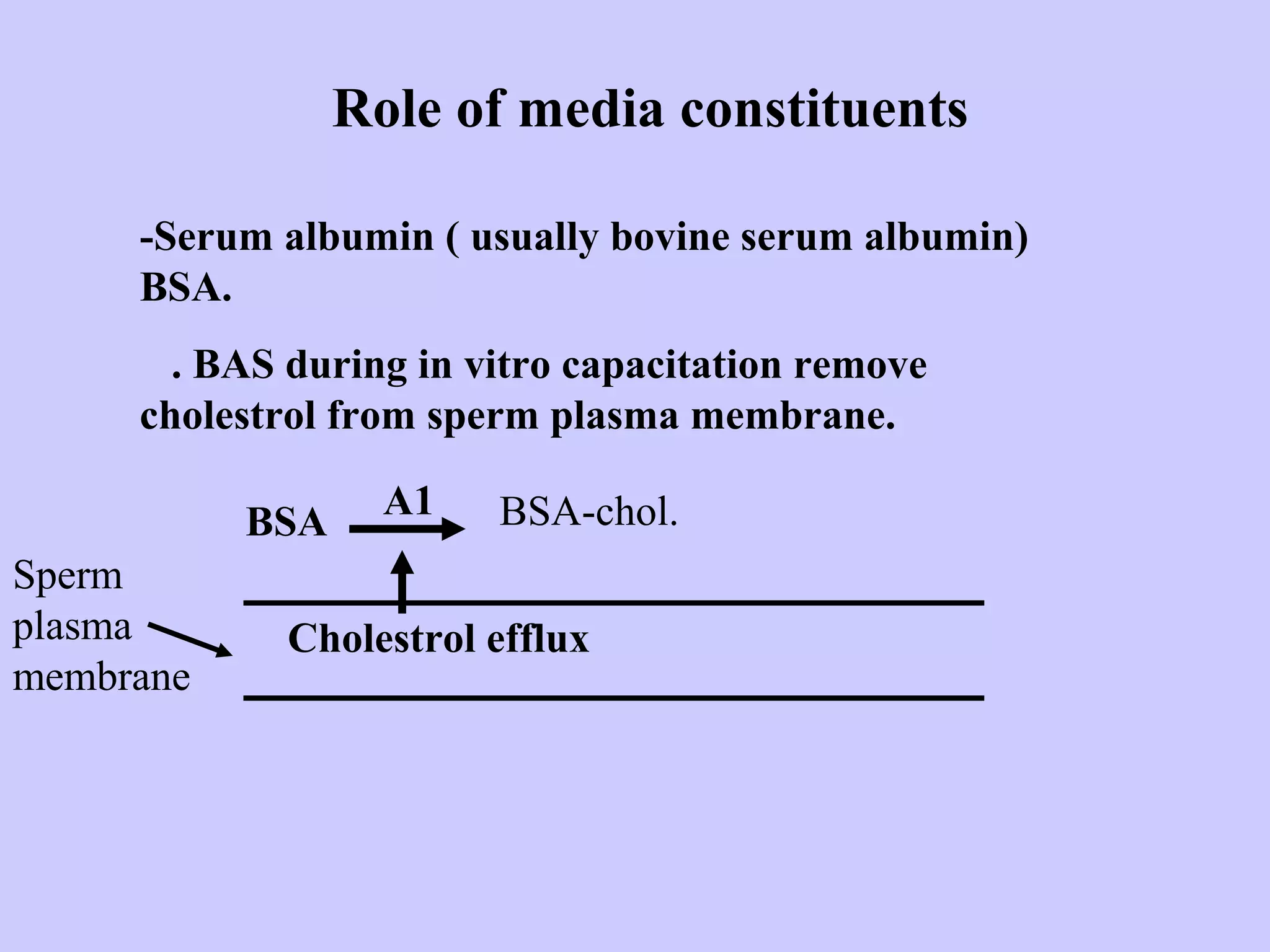 Role of media constituents
-Serum albumin ( usually bovine serum albumin)
BSA.
. BAS during in vitro capacitation remove
cholestrol from sperm plasma membrane.
BSA
A1 BSA-chol.
Sperm
plasma
membrane
Cholestrol efflux
 