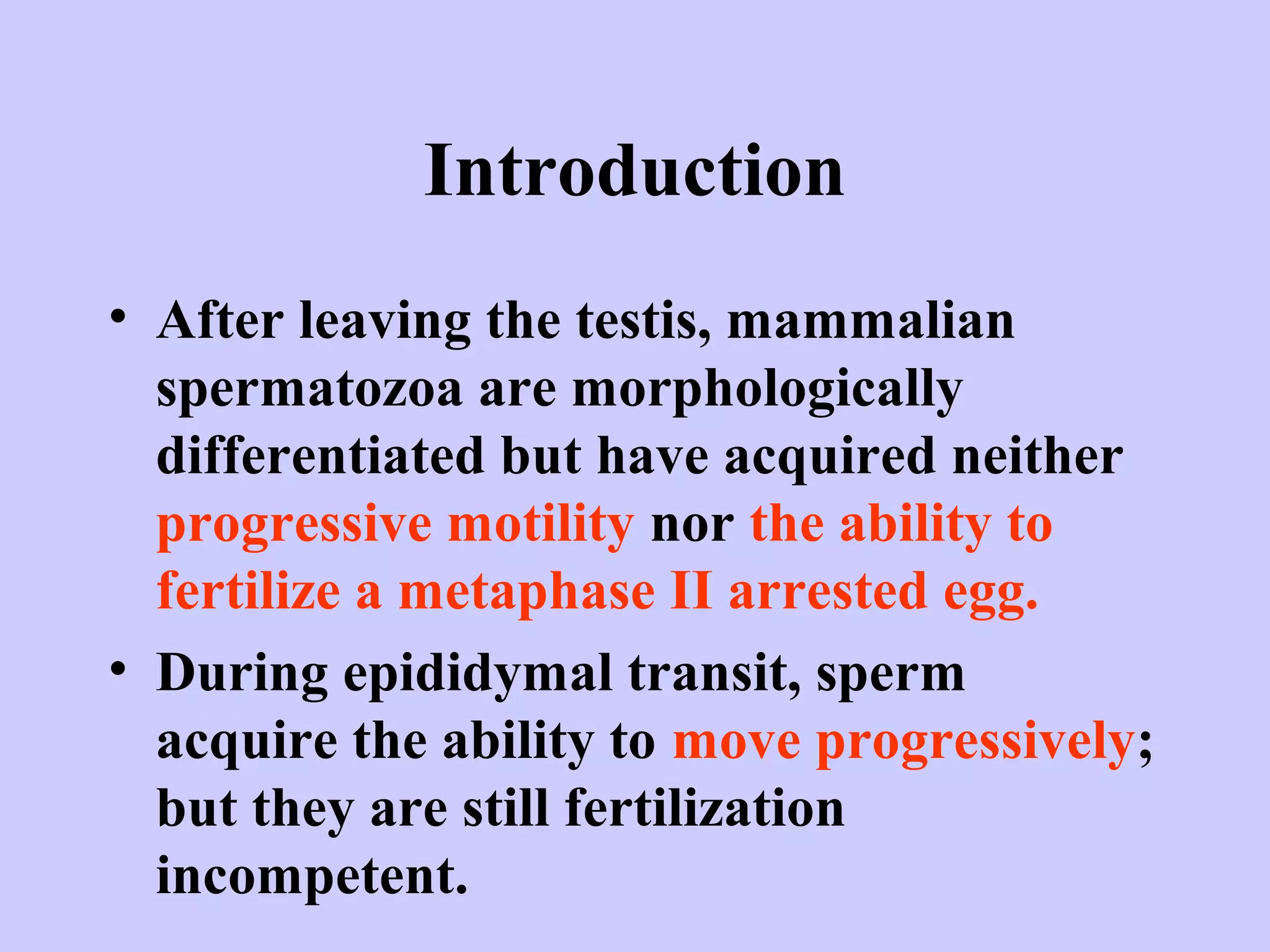 Introduction
• After leaving the testis, mammalian
spermatozoa are morphologically
differentiated but have acquired neither
progressive motility nor the ability to
fertilize a metaphase II arrested egg.
• During epididymal transit, sperm
acquire the ability to move progressively;
but they are still fertilization
incompetent.
 