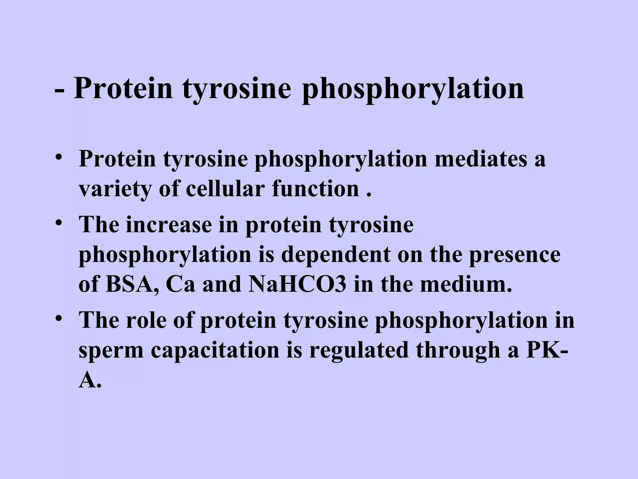 - Protein tyrosine phosphorylation
• Protein tyrosine phosphorylation mediates a
variety of cellular function .
• The increase in protein tyrosine
phosphorylation is dependent on the presence
of BSA, Ca and NaHCO3 in the medium.
• The role of protein tyrosine phosphorylation in
sperm capacitation is regulated through a PK-
A.
 