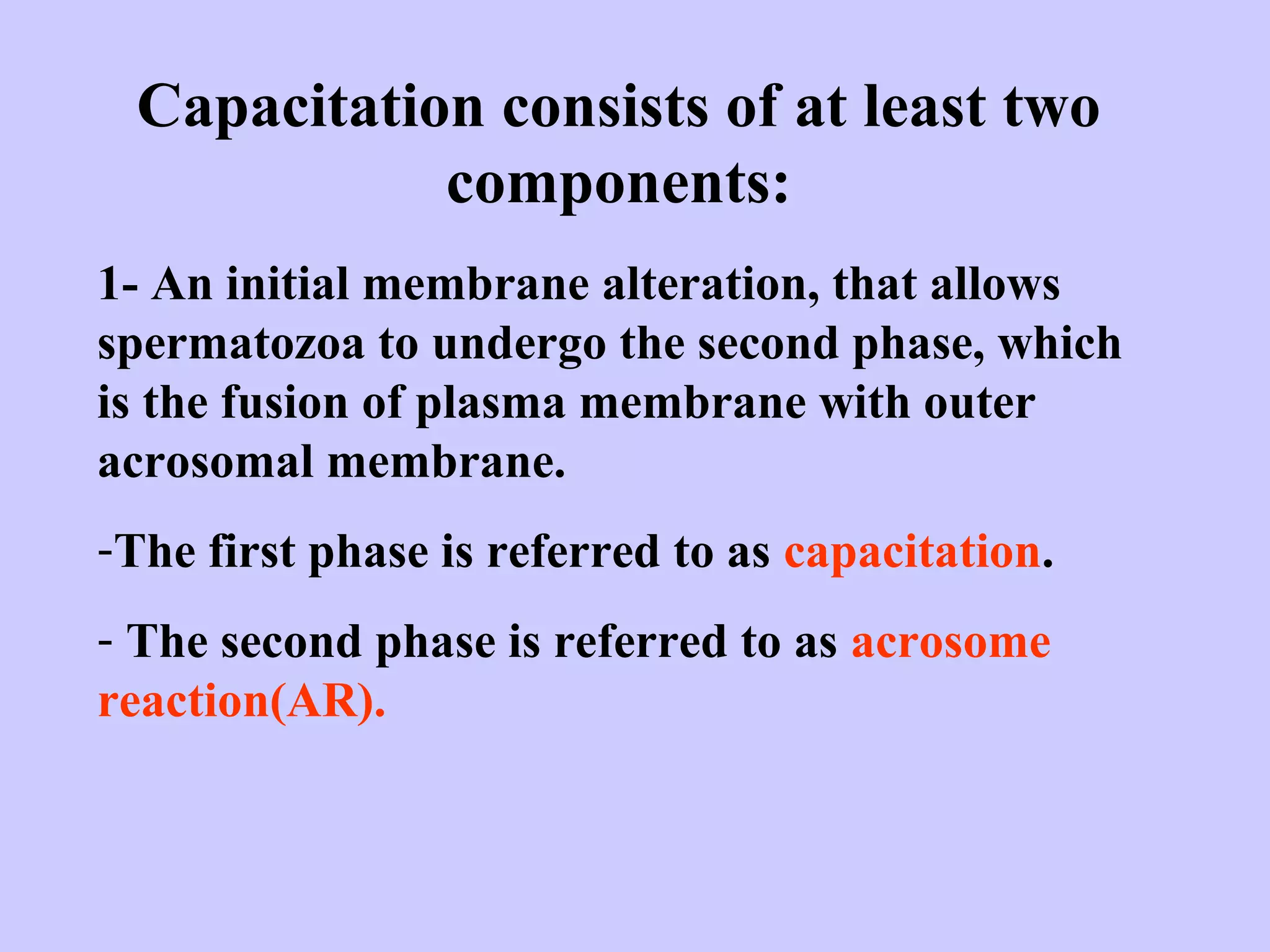Capacitation consists of at least two
components:
1- An initial membrane alteration, that allows
spermatozoa to undergo the second phase, which
is the fusion of plasma membrane with outer
acrosomal membrane.
-The first phase is referred to as capacitation.
- The second phase is referred to as acrosome
reaction(AR).
 