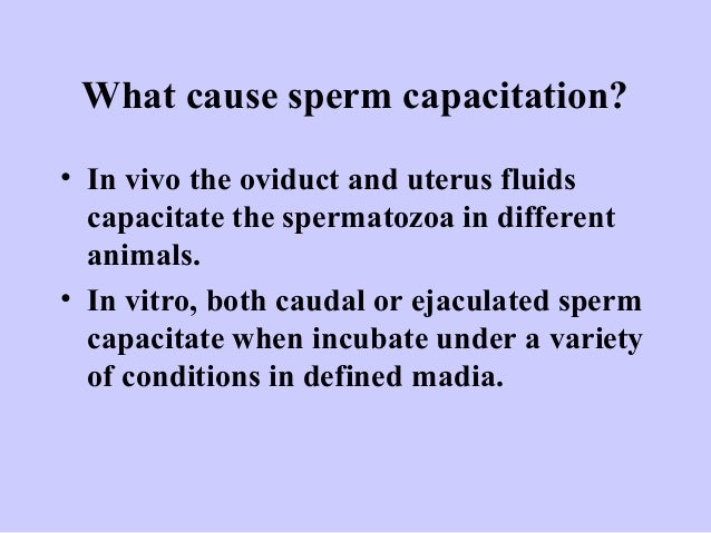 agent definition Sperm