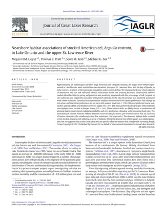 Nearshore habitat associations of stocked American eel, Anguilla rostrata,
in Lake Ontario and the upper St. Lawrence River
Megan H.M. Lloyst a,1
, Thomas C. Pratt b,
⁎, Scott M. Reid c,2
, Michael G. Fox d,3
a
Environmental and Life Sciences Program, Trent University, Peterborough, ON K9J 7B8, Canada
b
Great Lakes Laboratory for Fisheries and Aquatic Sciences, Fisheries and Oceans Canada, Sault Ste. Marie, ON P6A 2E5, Canada
c
Aquatic Research and Development Section, Ontario Ministry of Natural Resources, Trent University, Peterborough, ON K9J 7B8, Canada
d
Environmental and Resource Studies Program and Department of Biology, Trent University, Peterborough, ON K9J 7B8, Canada
a b s t r a c ta r t i c l e i n f o
Article history:
Received 15 December 2014
Accepted 2 May 2015
Available online 17 June 2015
Communicated by Edward Rutherford
Index words:
American eel
Habitat associations
Lake Ontario
Size structure
Substrate
Approximately 3.9 million glass and elver stage American eels (Anguilla rostrata), life stages never before repre-
sented in Lake Ontario, were stocked into two locations, the upper St. Lawrence River and the Bay of Quinte, to
help recover a segment of the panmictic population under severe decline. We characterized near-shore patterns
of abundance and size and indicated habitat associations in the two stocking locations. Generalized additive
models identiﬁed that in spring, eel presence was positively associated with the percentage of soft (organic or
silt) substrate, and negatively associated with gravel substrate. In the fall, eel presence was positively associated
with rubble substrate. Canonical correspondence analysis demonstrated eel habitat preferences that change as
eels grow, and that these preferences do not vary with season. Small eels (b150–250 mm) preferred coarse sub-
strates (gravel, cobble, and boulder) whereas larger eels (351–450 mm) preferred silt substrates with moderate
macrophyte cover located in deeper water (0.7–N1 m). These habitat shifts are likely due to a combination of
physical space requirements, habitat availability and prey preference changing with increasing body size. The
availability of suitable habitats differed between main stocking locations, yet neither location had an ideal mix
of coarse substrates (for smaller eels) and ﬁne substrates (for larger eels). The observed habitat shifts resulted
in the stocked American eels utilizing an array of habitats, ﬁtting the general view of the species as a habitat gener-
alist, but it is apparent that in the Great Lakes eels use speciﬁc substrate features that change with increasing length.
Crown Copyright © 2015 Published by Elsevier B.V. on behalf of International Association for Great Lakes Research.
All rights reserved.
Introduction
Catastrophic declines in American eel (Anguilla rostrata) recruitment
to Lake Ontario are well documented (Casselman, 2003; MacGregor
et al., 2009; Pratt and Mathers, 2011). The number of eels recruiting to
Lake Ontario decreased over 99%, based on an eel ladder index that
passed an average of ~800,000 individuals in the early 1980s to ~5000
individuals in 2000. This major decline triggered a number of manage-
ment actions directed speciﬁcally at this segment of the panmictic pop-
ulation, including the closure of commercial and recreational ﬁsheries in
the Province of Ontario to eliminate ﬁshing mortality, the implementa-
tion of a trap-and-transport project to pass outmigrating eels that are
initiating their spawning-phase around hydroelectric facilities to reduce
turbine mortality, and the translocation of ~3.9 million glass eels and
elvers to Lake Ontario watershed to supplement natural recruitment
(MacGregor et al., 2008; Pratt and Threader, 2011).
The American eel is a unique species in the Laurentian Great Lakes
because of its catadromous life history. Widely distributed from
Venezuela to Greenland in freshwater, brackish and marine coastal eco-
systems (Helfman et al., 1987), American eels comprise a single breed-
ing population (Côté et al., 2013). Larval-stage eels are transported on
oceanic currents for up to 1 year, after which they metamorphose into
glass eels and move into continental waters. Eels then move into a
growth phase, termed yellow-phase, which can last over 20 years before
they mature and outmigrate as silver-stage eels (Jessop, 2010).
Naturally migrating yellow-stage eels moving into Lake Ontario are,
on average, 6–8 years old after migrating up the St. Lawrence River,
arriving at a length of 30–35 cm (Zhu et al., 2013). In contrast, age-0
glass eels and elvers stocked from 2006 to 2010 into the Lake Ontario
watershed came directly from commercial glass eel ﬁshers in Atlantic
Canada and were transplanted at lengths that averaged only 6 cm
(Pratt and Threader, 2011). Stocking locations included areas of shallow
depth (0.75 m to 1.5 m), mud and rock substrates, and emergent and
submerged macrophytes. Two locations (Bay of Quinte and the upper
St. Lawrence River near Mallorytown Landing) were stocked based on
Journal of Great Lakes Research 41 (2015) 881–889
⁎ Corresponding author. Tel.: +1 705 941 2667.
E-mail addresses: meganlloyst@trentu.ca (M.H.M. Lloyst),
thomas.pratt@dfo-mpo.gc.ca (T.C. Pratt), reid.scott@ontario.ca (S.M. Reid),
mfox@trentu.ca (M.G. Fox).
1
Tel.: +1 705 933 6335.
2
Tel.: +1 705 755 2267.
3
Tel.: +1 705 748 1011.
http://dx.doi.org/10.1016/j.jglr.2015.05.012
0380-1330/Crown Copyright © 2015 Published by Elsevier B.V. on behalf of International Association for Great Lakes Research. All rights reserved.
Contents lists available at ScienceDirect
Journal of Great Lakes Research
journal homepage: www.elsevier.com/locate/jglr
 