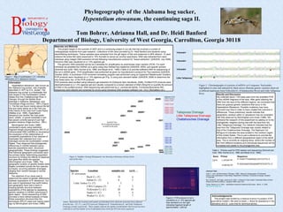 Phylogeography of the Alabama hog sucker,
Hypentelium etowanum, the continuing saga II.
Tom Bohrer, Adrianna Hall, and Dr. Heidi Banford
Department of Biology, University of West Georgia, Carrollton, Georgia 30118
Materials and Methods
This project began in the summer of 2007 and is a continuing project in our lab that has involved a number of
undergraduate students from past research. Collections of fish were provided by Dr. Heidi Banford and students using
electrofishing techniques. Tissue samples were extracted from the gill region of fish and preserved in 95% ethanol. In each
instance the entire fish were preserved in 10% formalin to server as voucher specimens. DNA was extracted from each
individual using Qiagen DNA extraction kit and following manufacturers protocol for “tissue extraction” (QIAGEN, July 2006).
Genomic DNA was visualized on a 1.5% agarose gel.
The genomic DNA extracted served as a template for amplification by polymerase chain reaction (PCR). For each
individual we amplified the mtDNA cyt b gene using 20µl HotStarTaq mastermix (QIAGEN, 2005), and specific primers
(Schmidt and Gold, 1993; Kocher et al.,1989; and Meyer et al., 1990) (Table 2) to provide sufficient DNA for sequencing of
the cyt b mtDNA gene. PCR amplification was preformed as given by manufacturer’s protocol for 70µl reactions (QIAGEN,
October 2005). A touchdown PCR increment annealing program was performed using an Eppendorf Mastercycler Gradient.
PCR products were visualized on a 1.5% agarose gel (Fig. 3) using size standard ladder (QIAGEN, 2006) to determine the
size (base pairs, bp) of the PCR products .
PCR products were purified using QIAquick gel extraction kit (QIAquick Spin Handbook, 2006). Purified PCR products were
electrophoresed on a 1.5% agarose gel and visually compared to a known standard of DNA (50ng/ml) to quantify the amount
of DNA in the purified product. DNA sequencing was performed by a commercial facility, Functional Bioscience INC.
Sequences were aligned and screened for errors using Geneious DNA analysis software (ver. 3.6.2, Biomatters Ltd.).
Information
Hypentelium etowanum, also known as
the Alabama hog sucker, was originally
described in 1877 by D.S. Jordan. The
Alabama hog sucker is a freshwater fish
that ranges in the Southeastern United
States from the Chattahoochee River in
Georgia, through the Mobile River
drainage in Alabama, Mississippi, and
Tennessee (Page and Burr, 1991) (Figure
1). The fish are found mainly above the fall
line and rarely below as in the Fall Line
Hills District of the East Gulf Coast Plains
(Mettee et al, 1996). Hypentelium
etowanum are benthic fish that prefer
sand, cobble, or gravel substrate in sub
fast paced currents typical of sub high
gradient streams (Page and Burr, 1991).
Bermingham and Avise (1986)
conducted a study using restriction
fragment length polymorphisms (RFLP) of
mitochondrial DNA (mtDNA) to reconstruct
the expansion of the relationships of
conspecific populations in four species of
freshwater fish collected from river
drainages across the southeastern United
States. They observed that phylogenetic
differences in mtDNA between same-
species populations were structured
geographically. These findings suggested
that historical geographic processes were
the primary factor determining population
structure by limiting the effects of dispersal
and gene flow within the species
(Bermingham and Avise, 1986). The
geographic location of genetic breaks were
largely consistent across the four species
surveyed, occurring between drainages
ranging from central Georgia to central
Alabama.
The objective of our study was to
determine the extent of genetic differences
between populations of H. etowanum. Our
aim was to hypothesize how earth history
and geography have had a hand in
shaping genetic structure between
populations of this species by assessing
genetic variation in mtDNA cytochrome b
gene region. Direct sequencing of DNA
provides a more refined analysis of these
fishes population structure than the
techniques (RFLP) used over twenty years
ago by Bermingham and Avise (1986).
Results and Discussion
We collected about 1150 base pairs from the amplified PCR
of the mtDNA fragment of the taxa. After gene cleaning the
DNA from the taxa of the different regions, we concluded that
there are gradual genetic variations that occur in the
Hypentelium Etowanum. Possible mutations may have
occurred over time in order to have created this outcome in
differences. These preliminary results indicate that
geographic variation within H. etowanum may be consistent
with that observed by Bermingham and Avise (1986). We
furthered the research of this experiment by adding on to the
phylogenetic neighbor joining tree with the taxa from the
Little Tallapoosa Drainage. Our research indicates that the
taxa from the Tallapoosa Drainage was closely related to
that of the Chatahoochee Drainage. The Nigricans Cyt
B(Figure 4) indicates the taxa located in the northern region
of the United States. This is just a reference to provide the
information from a different geographical region of the same
taxa. This is currently an ongoing study, where the number of
fish from different locations and individuals sequenced will be
increased and added to the phylogenetic tree.
Acknowledgements
This project was funded by a National Science Foundation STEP
grant #DUE-0336571.We wish to thank J. Akins for assistance in the
laboratory and Dr. Leos Kral for technical advice.
Table 2. Primers used for PCR reaction and sequencing (Schmidt and
Gold, 1993; Kocher et al., 1989; and Meyer et al., 1990) .
Gene Primer Sequence
Cyt b L14724CYP
5’-TGACTTGAARAACCAYCGTTG-3’
H15915CYP
5’-GGCAAATAGGAARTATCATTC-3’
Literature Cited
Avise, C. John, and Bermingham, Eldredge. (1986). Molecular Zoogeography of Freshwater
Fishes in the Southeastern United States. Department of Genetics, University of Georgia, Genetics
113,939-965.
Burr, Brooks M., and Page, Lawrence M. (1991). Perterson’s Field Guides: Freshwater fishes of North
America and North of Mexico. Houghton Mifflin, New York.
Froese, Rainier et. al. (1991). Hypentelium etowanum Alabama Hog Sucker. March, 17, 2008.
http://www.fishbase.org
Figure 1. Map of southeastern U.S. indicating
distribution of H. etowanum (brown)
Figure 3. PCR products of cyt b
visualized on a 1.5% agarose gel.
Size standard is to the right
indicating fragment length of
approximately 1,200 bp.
Figure 2. Chromatographs of a portion of mtDNA cyt b sequence. Nucleotides
highlighted in color and indicated by black arrows illustrate genetic variation observed
in different haplotypes from Yellowdirt Cr. (Chattahoochee River) and Little Tallapoosa
River.
Yellowdirt
Yellowdirt
Yellowdirt
Little Tallapoosa
Species Location samples (n) cyt b
H. etowanum
Buck Cr. (T) 10 6
Indian Cr. (T) 6 2
Little Turkey Cr. (T) 3 3
UWG Campus (T) 2 2
Yellowdirt Cr. (C) 20 10
Snake Cr. (C) 6 4
Walker Cr. (LT) 7 7
Table1. Represents the locations and number of individuals from which the tissue has been collected
from the taxa. (T), ( C ), and (LT) represent Tallapoosa R., Chattahoochee R., and Little Tallapoosa
Drainage systems respectively. These samples indicate the number of individuals which tissue has been
collected as well the number of cyt b individuals from which the DNA has been sequenced.
QuickTime™ and a
TIFF (Uncompressed) decompressor
are needed to see this picture.
.0845
.0028
.0001
.0004
.0004
.0007
.0009
.0007
.0011
.0008
.00001
.00007
.0001
.0024
.00005
.0009
.0008 .0021
.0004
.0005
Nigricans Cyt B
UWG Campus
Walker Creek
Walker Creek
Walker Creek
Walker Creek
Walker Creek
Walker Creek
Yellow Dirt
Yellow Dirt
Yellow Dirt
Yellow Dirt
Yellow Dirt
Yellow Dirt
Yellow Dirt
Yellow Dirt
Yellow Dirt
Buck Creek
Buck Creek
Buck Creek
Buck Creek
Tallapoosa Drainage
Little Tallapoosa Drainage
Chattahoochee Drainage
Figure 4. Neighbor Joining Phylogenetic tree showing evolutionary distance from
each of the taxa.
 