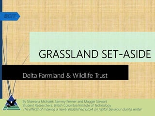 GRASSLAND SET-ASIDE
Delta Farmland & Wildlife Trust
By Shawana Michalek Sammy Penner and Maggie Stewart
Student Researchers, British Columbia Institute of Technology
The effects of mowing a newly established GLSA on raptor bevaiour during winter
 