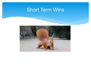 Short Term Wins
 