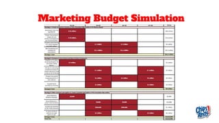 Marketing Budget Simulation
 