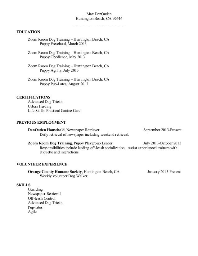 Max Denouden Resume