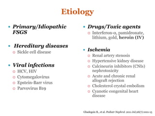 Etiology
 Primary/Idiopathic
FSGS
 Hereditary diseases
 Sickle cell disease
 Viral infections
 HCV, HIV
 Cytomegalovirus
 Epstein-Barr virus
 Parvovirus B19
 Drugs/Toxic agents
 Interferon-α, pamidronate,
lithium, gold, heroin (IV)
 Ischemia
 Renal artery stenosis
 Hypertensive kidney disease
 Calcineurin inhibitors (CNIs)
nephrotoxicity
 Acute and chronic renal
allograft rejection
 Cholesterol crystal embolism
 Cyanotic congenital heart
disease
Gbadegsin R., et al. Pediatr Nephrol. 2011 Jul;26(7):1001-15
 