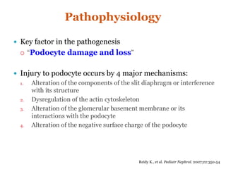 Pathophysiology
Reidy K., et al. Pediatr Nephrol. 2007;22:350-54
 Key factor in the pathogenesis
 “Podocyte damage and loss”
 Injury to podocyte occurs by 4 major mechanisms:
1. Alteration of the components of the slit diaphragm or interference
with its structure
2. Dysregulation of the actin cytoskeleton
3. Alteration of the glomerular basement membrane or its
interactions with the podocyte
4. Alteration of the negative surface charge of the podocyte
 