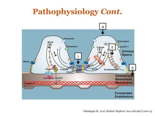 Pathophysiology Cont.
Gbadegsin R., et al. Pediatr Nephrol. 2011 Jul;26(7):1001-15
1
2
3
4
 