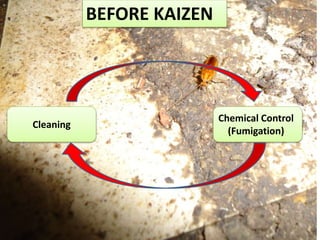 Cleaning 
Chemical Control 
(Fumigation) 
BEFORE KAIZEN 
 
