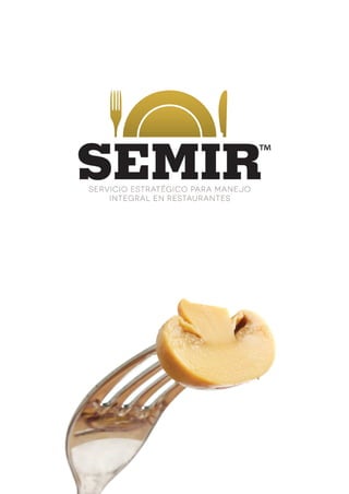 SEMIR-1-1