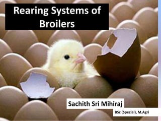 Rearing Systems of
Broilers
Sachith Sri Mihiraj
BSc (Special), M.Agri
 