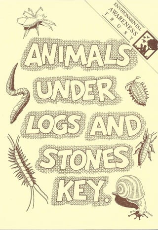Animals under stones and logs key cover