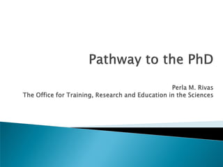 Pathways to the PhD | PDF