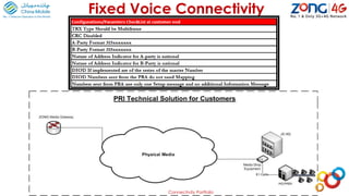 Fixed Voice Connectivity
Connectivity Portfolio
 