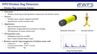 Slug Sensor WFS Summary Presentation Apr16 V1 | PDF