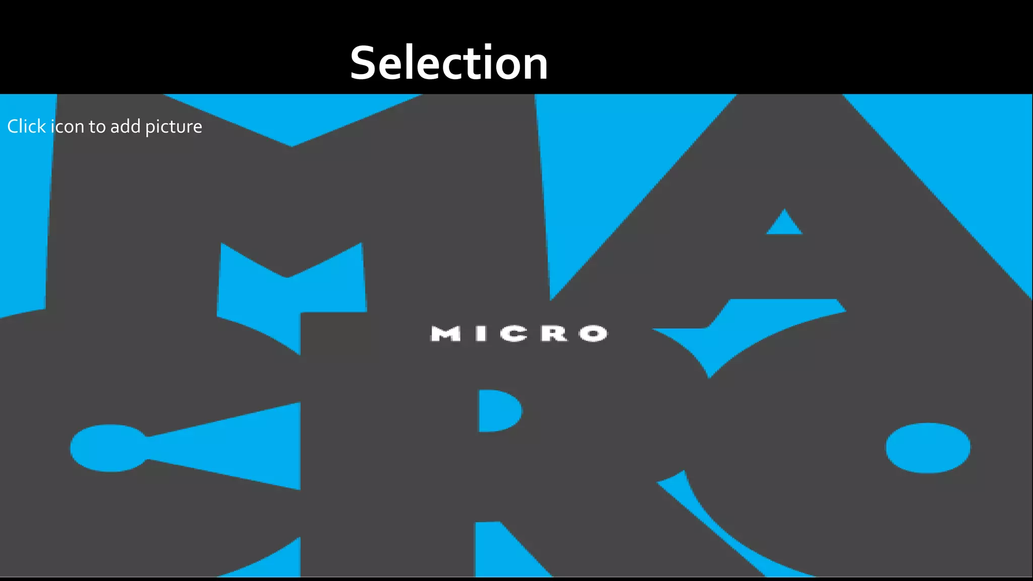 Click icon to add picture
Selection
 