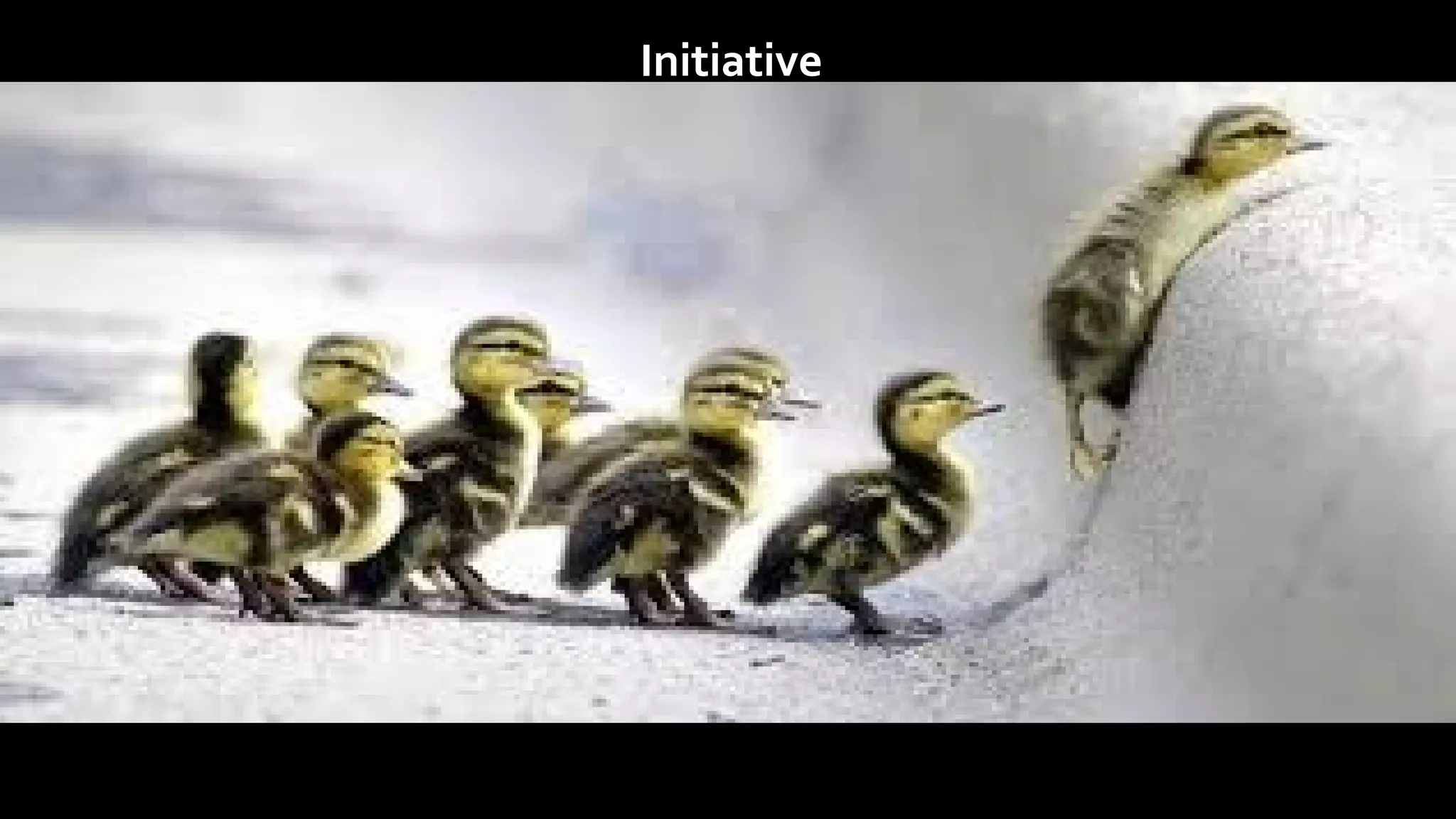 Initiative
 