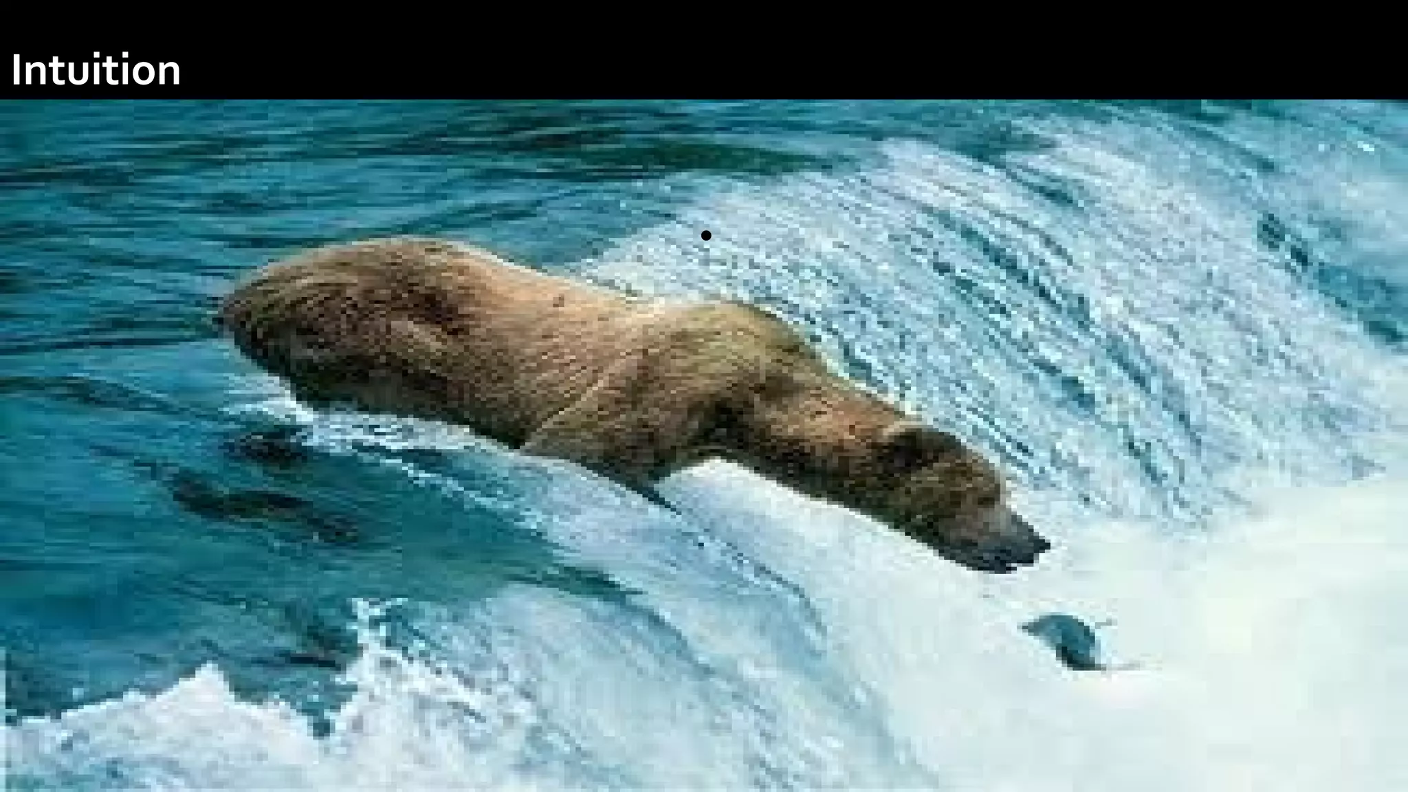 Intuition
•.
 