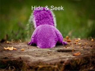 Hide & Seek
 