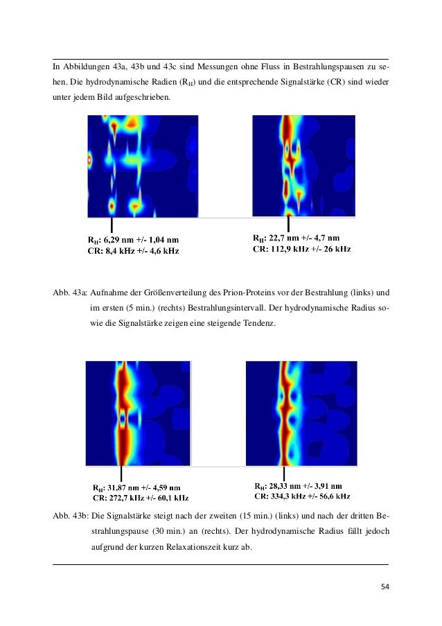 Dynamic light scattering protein aggregation paintbezy