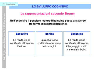 Le rappresentazioni secondo Bruner
Nell’acquisire il pensiero maturo il bambino passa attraverso
tre forme di rappresentazione:
EsecutivaEsecutiva
La realtà viene
codificata attraverso
l’azione
IconicaIconica
La realtà viene
codificata attraverso
le immagini
SimbolicaSimbolica
La realtà viene
codificata attraverso
il linguaggio e altri
sistemi simbolici
LO SVILUPPO COGNITIVO
PsicologiadelloSviluppo-Prof.P.Perucchini7a
Lezione
 